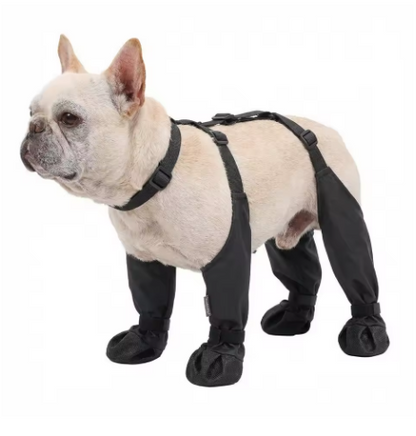 Botas impermeables para perro