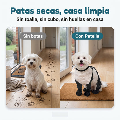 Botas impermeables para perro